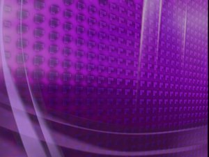宠物抓伤应对方法，预防感染的关键步骤